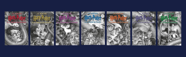 Harry Potter La Serie Anniversario 20 Anni di Magia 2018 Brian Selznick