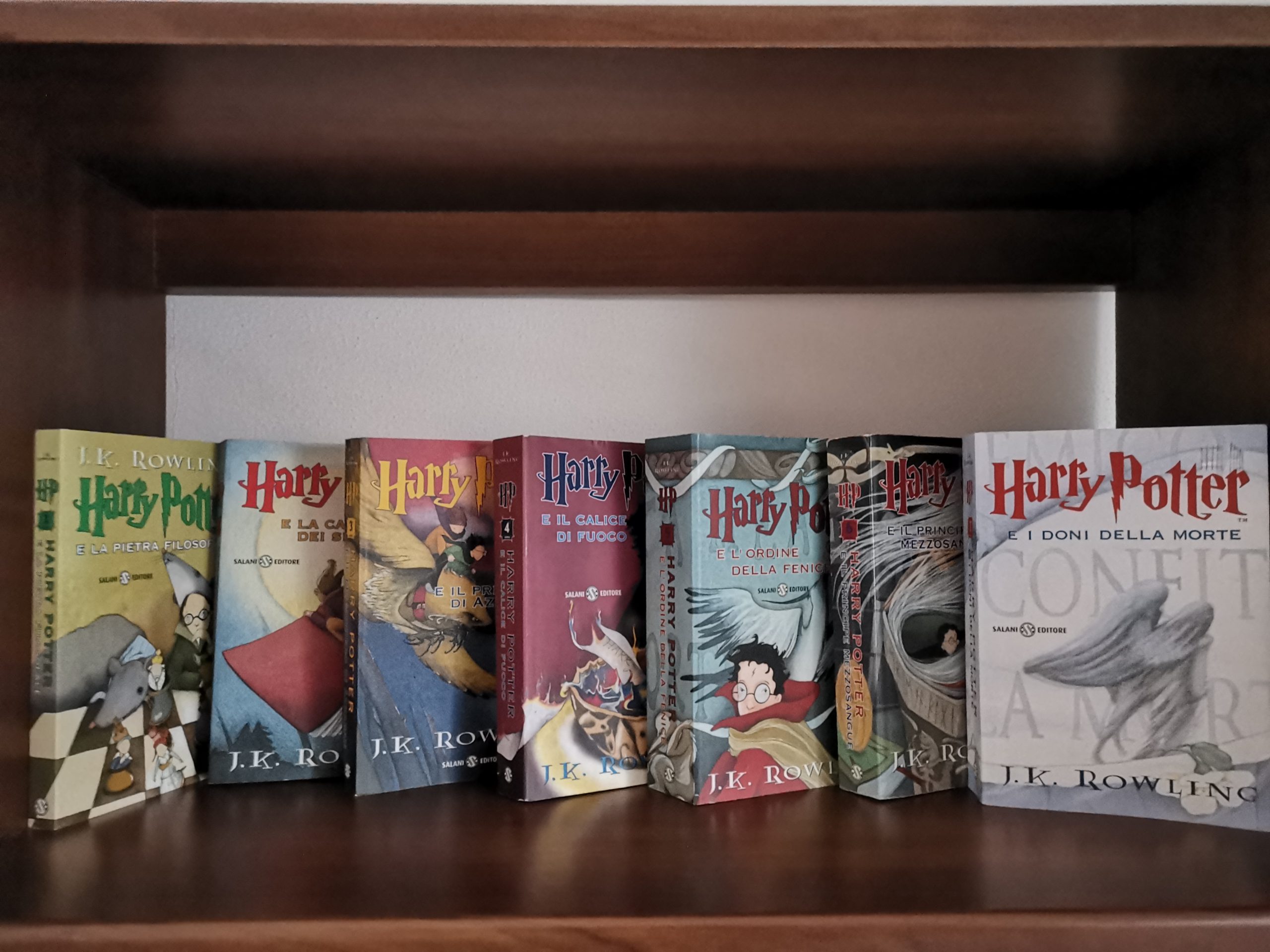 Harry Potter Prima Edizione Brossura Serena Riglietti - Guida ai libri di Harry  Potter
